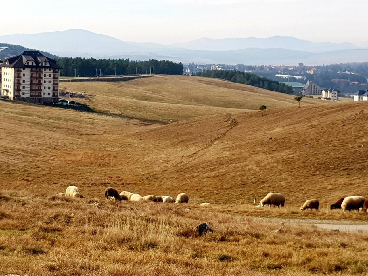 Sunset Zlatibor Hills Bed & Breakfast エクステリア 写真