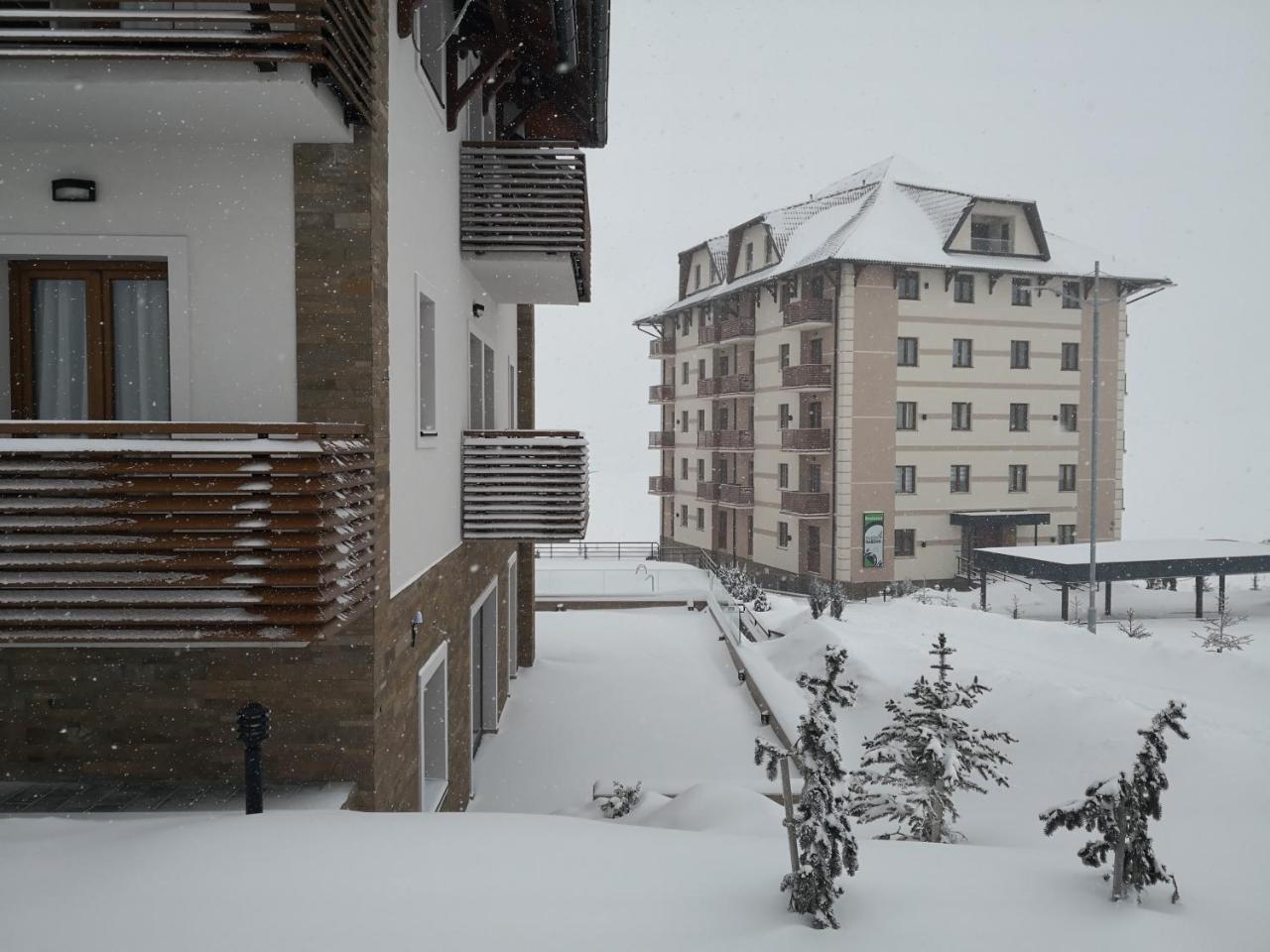 Sunset Zlatibor Hills Bed & Breakfast エクステリア 写真